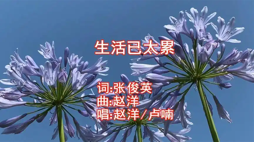 赵洋,卢喃一首《生活已太累》歌词句句现实,唱出生活的不易