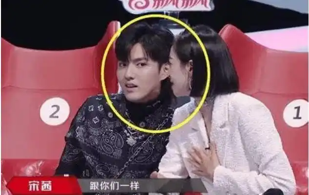 果然,吴亦凡说的一切都是真的!|宋茜|大明星_网易订阅