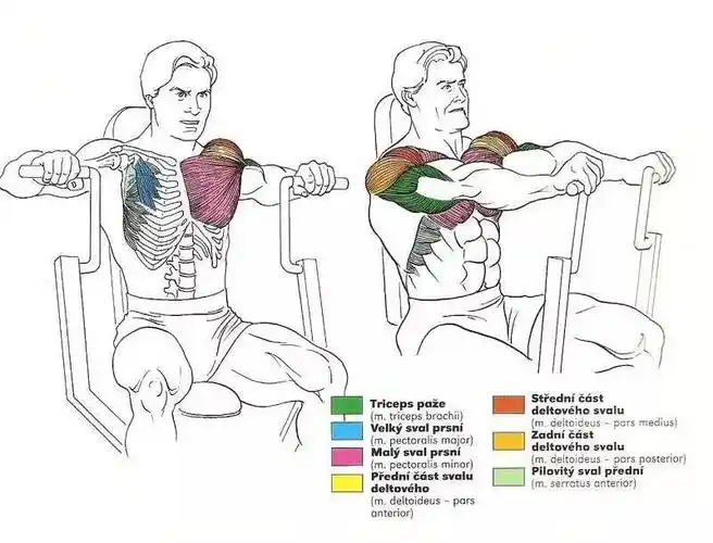 坐姿器械推胸  4组  30次