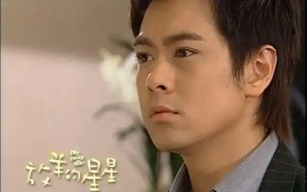 17.12《放羊的星星》林志颖