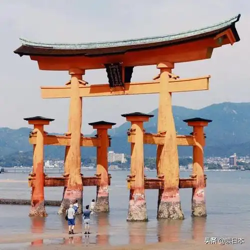 再过15天日本代表性景点之一的大鸟居就要暂时告别我们了