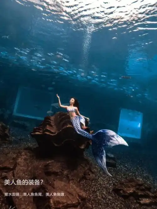 0469♀15美人鱼运动美人鱼运动集合了花样游泳,瑜伽,自由潜学习