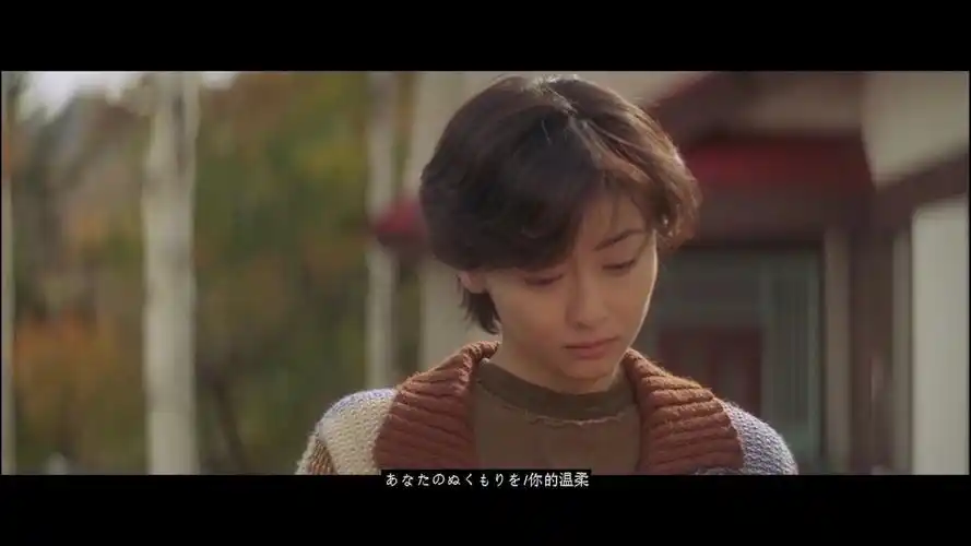情书(love letter)-岩井俊二电影剪辑 松田圣子-missing you mv