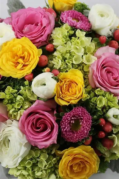 花束,五颜六色的鲜花,紫苑,玫瑰,绣球花,毛茛 iphone 壁纸