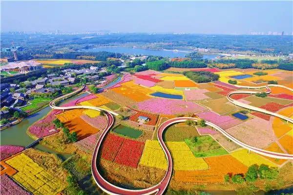 宿迁三台山邀你共赴一场与"花海"的约会_中国江苏网