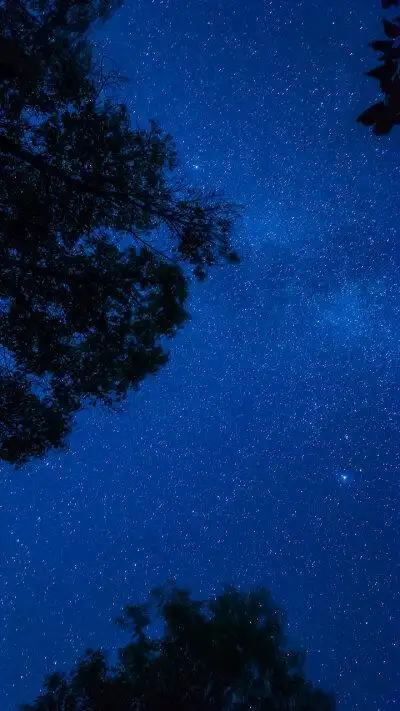 小时候喜欢在夏天的夜晚里,躺在凉席上,看满天星河,听蛙鸣和虫叫,充满
