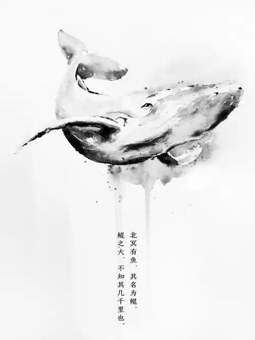 北冥有鱼其名为鲲简笔画