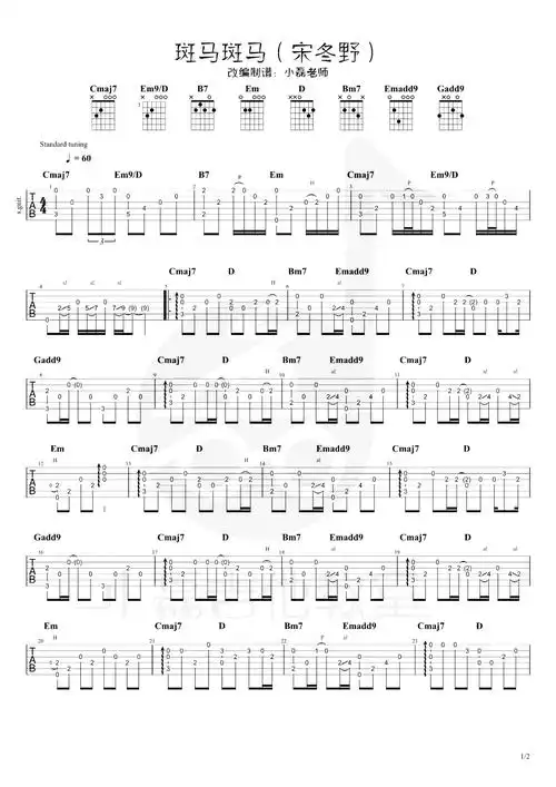 斑马斑马指弹谱宋冬野吉他独奏演示教学视频