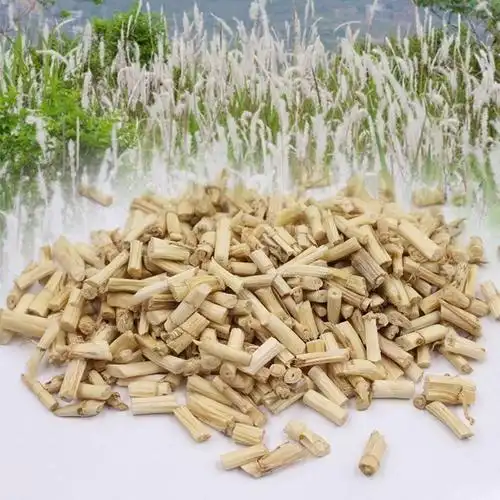 [白茅根批发]野生白茅根白毛根干甜草根坚草跟凉茶食材中药材茅草根毛