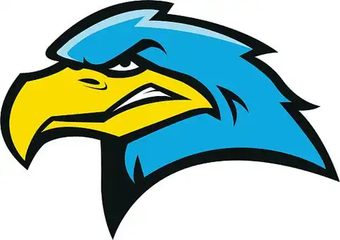 锋利的卡通矢量老鹰epspng  猫头鹰卡通图片猎鹰图片 >查看更多老鹰