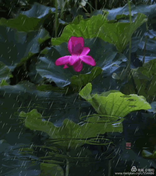 640_725gif 动态图 动图