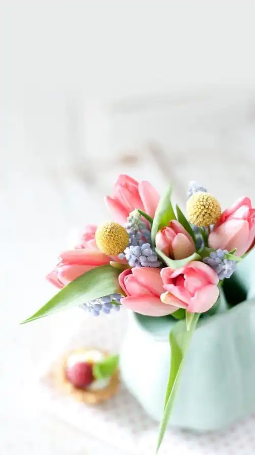 七夕情人节,来欣赏一波浪漫唯美的花