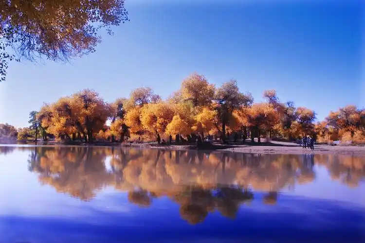 爱上黑城·弱水胡杨林风景区,只需要这两个时刻!