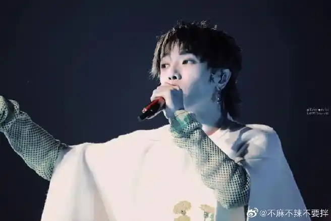 华晨宇演唱会来了多少神仙##华晨宇演唱会是换装party吗