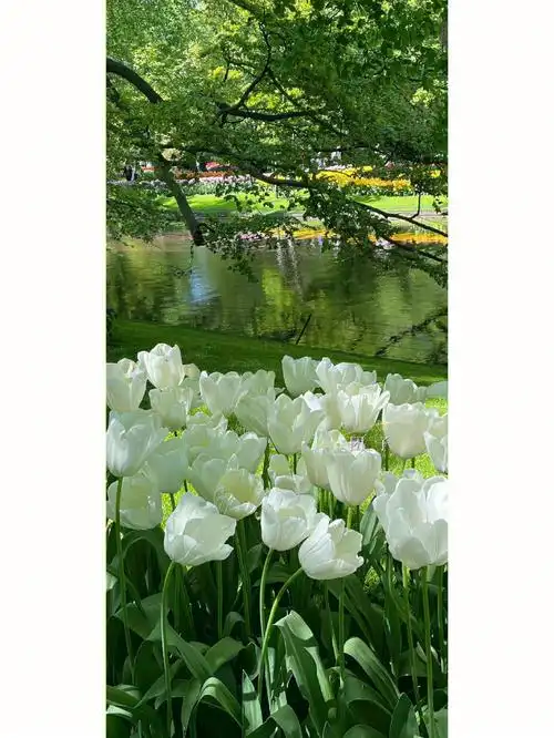 绿色护眼壁纸小清新