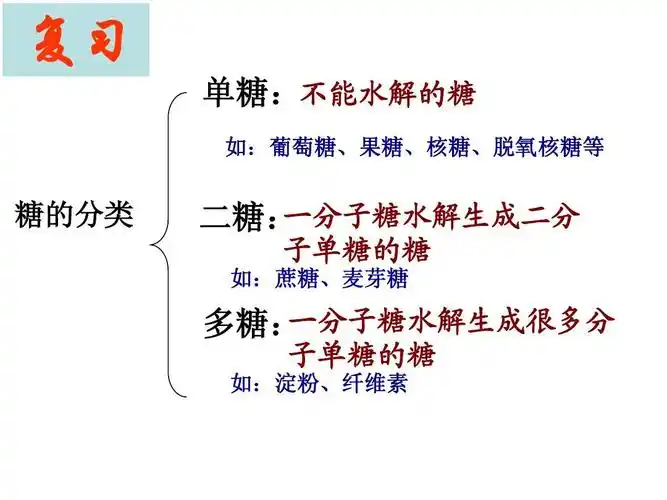 免费文档 所有分类 小学教育 数学 四年级数学 糖类2ppt 复习 单糖:不