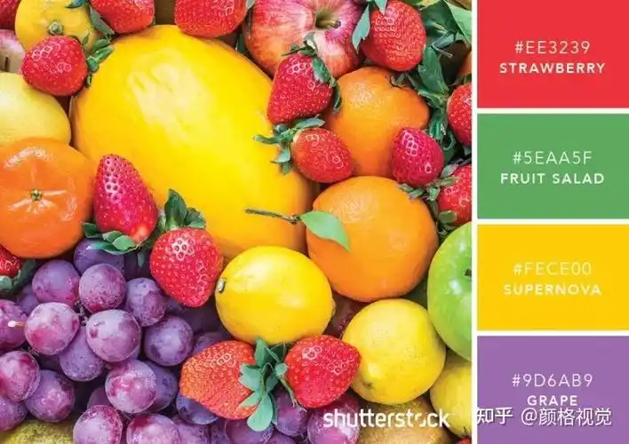 101种配色方案激发您的下一个设计灵感 - 知乎