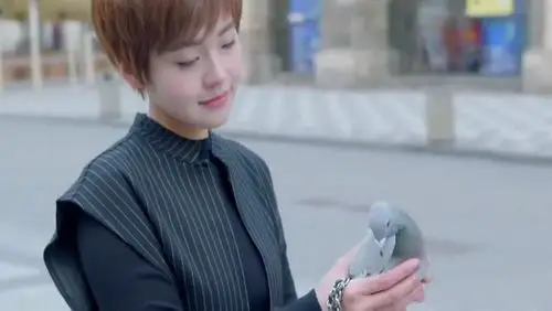 鸡毛飞上天邱岩来小山村找王旭被村民们起哄是王旭女友害羞