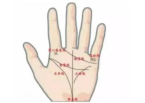 我女的很好奇我的爱情生命事业线是什么意思哪位会看手相的大师来帮我