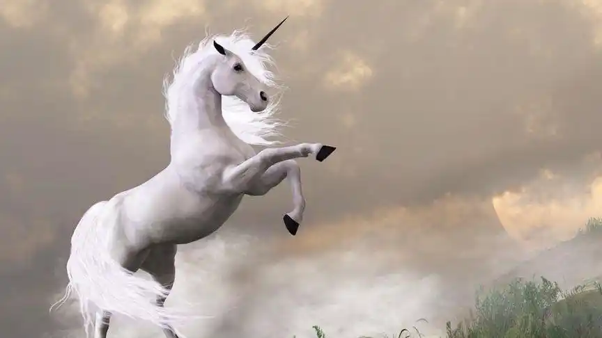 现实当中拍摄到的独角兽!看到的一定很会好运!