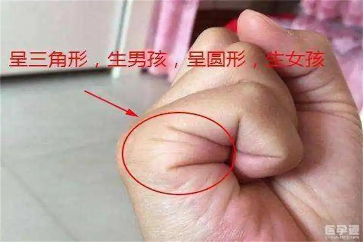 怀了之后手相上有显示男女一文解读性别差异