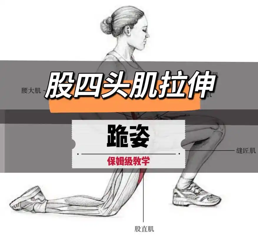 股四头肌拉伸 .股四头肌是一组较大的肌肉,也是腿部最重的一块 - 抖音