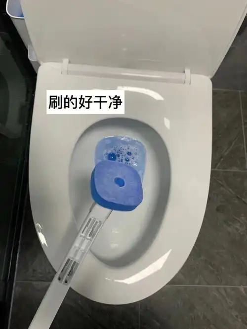 我真的会谢把马桶刷设计成这样78