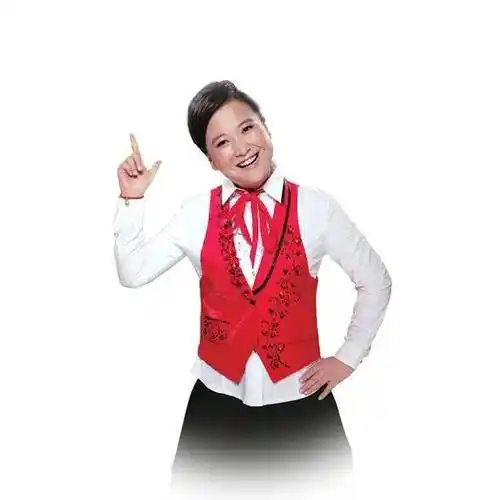 中国内地相声演员贾玲_表演_春晚_喜剧