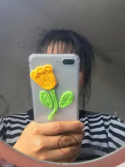 自制手机壳很春日呀后面有图解