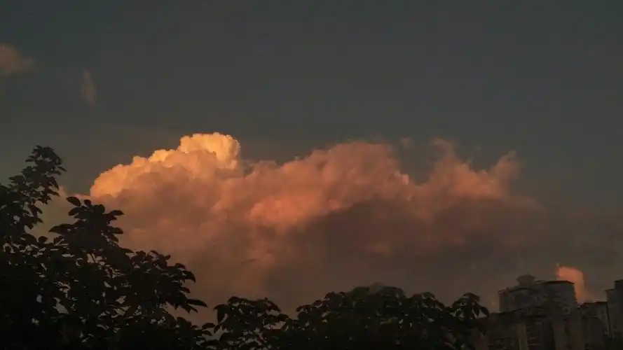 ins - 堆糖,美图壁纸兴趣社区