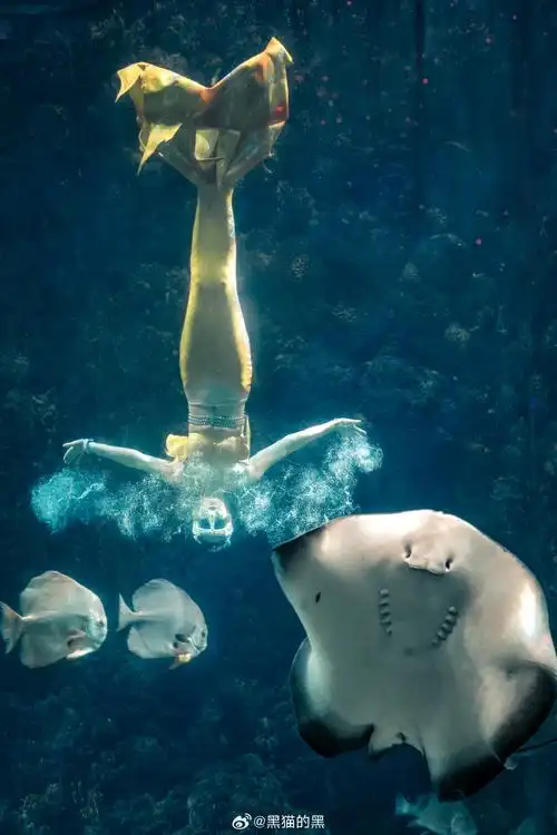 中国美人鱼公开赛##夏日运动随拍##夏日vlog