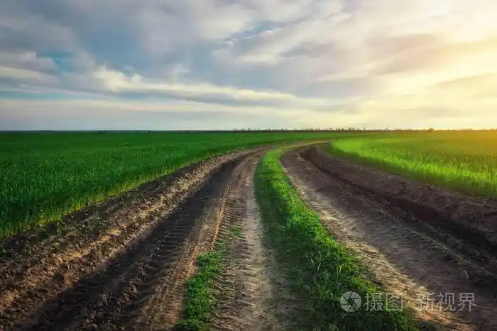 早春草甸间的土路景观农业