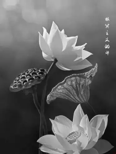 心静了,福气就来了:一组禅意唯美图片分享