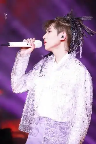 这是属于z世代原创音乐人代表王源的专属话筒.