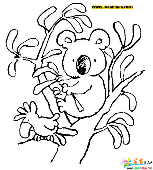 树袋熊简笔画树袋熊简笔画彩色