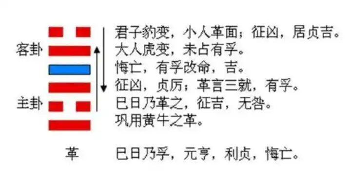 《周易》:泽火革,君子豹变,其文蔚也——革卦第四十九