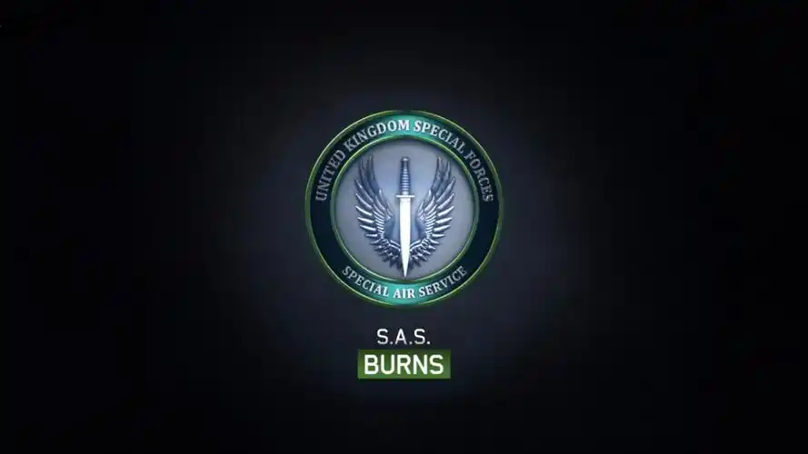 高手帮忙,求使命召唤现代战争标志,高悬赏