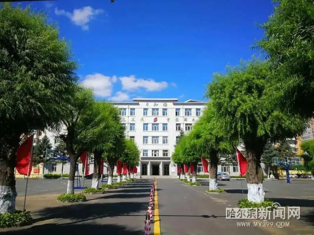 2021年大学毕业生,好工作来了丨黑龙江省实验中学公开招聘10名老师