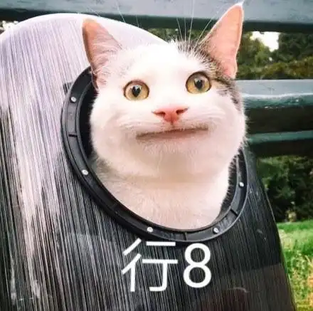 傻逼网友我杀了你熊猫头表情包傻逼熊猫网友表情