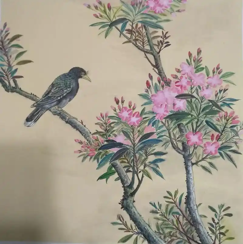 囯画花鸟山水小品习作