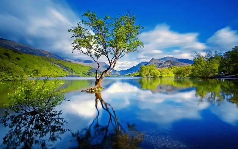 秀丽自然风光唯美高清桌面壁纸高清大图预览1920x1200_风景壁纸下载