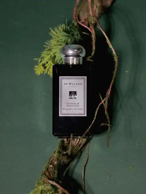 隐世馥奇香当地球最后一个人消失后