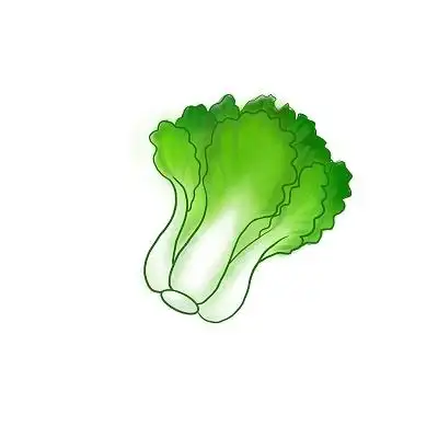 白菜 青菜 蔬菜 绿色食品大白菜蔬菜元素