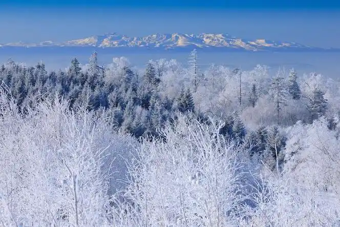 吉林的粉雪还能再浪一个月|长白山|吉林省|度假区_新浪新闻