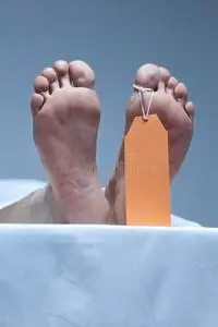 给闺蜜捏脚在停尸房里给尸体的脚贴上标签照片