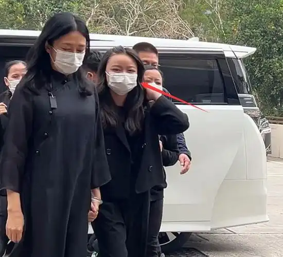 手捧遗照双眼红肿,11岁刘向蕙和妈妈一起跨火盆|朱丽倩|填词人|古典乐