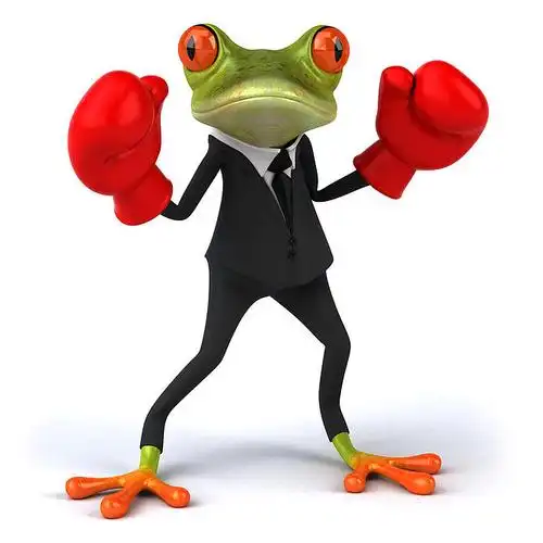 青蛙,拳击图片_青蛙,拳击高清图片_全景视觉