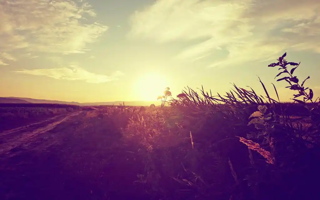 秋日意境美图桌面壁纸.秋,美丽迷人;秋,硕果累累;秋,寂寥孤单.