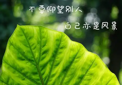 非主流励志文字好看图片_故事还长何必失望