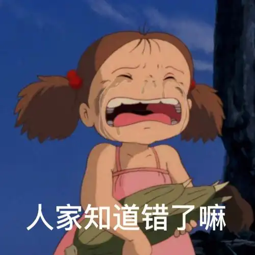 自制小梅撒娇认错九连表情包